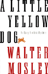 a little yellow dog, 1996